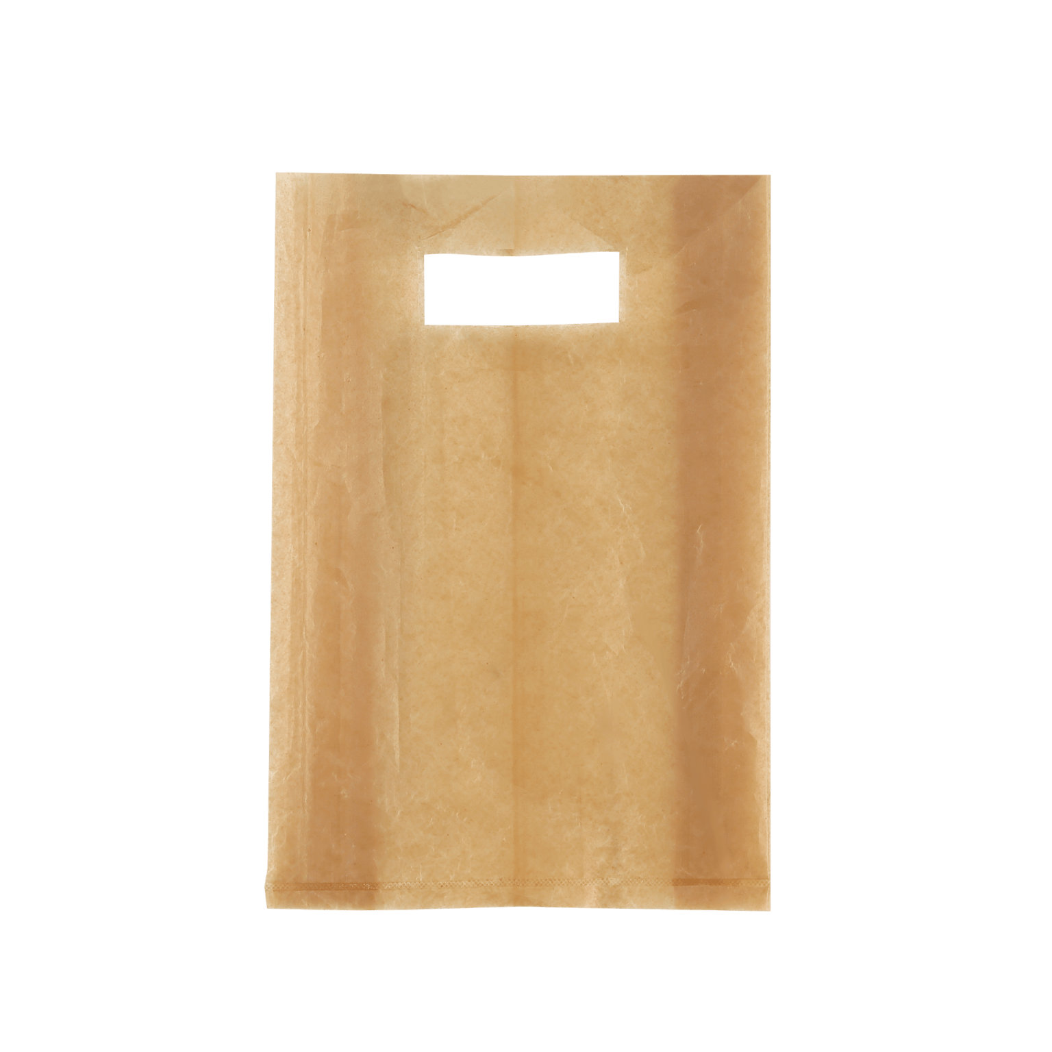 Compostable Shopping Bags renouvo