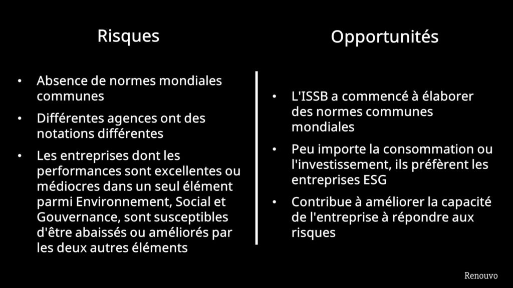 Opportunités et inconvénients du développement ESG