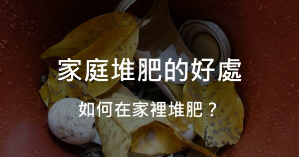 家庭堆肥的好處 如何在家做堆肥