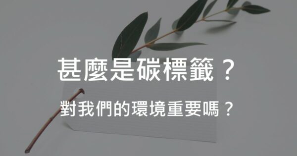 什麼是碳標籤？對我們的環境重要嗎