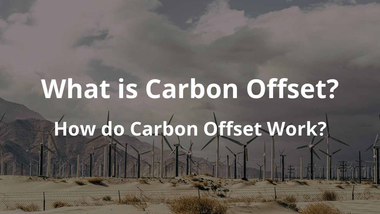 What is Carbon Offset? How do Carbon Offset Work?