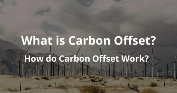 What is Carbon Offset? How do Carbon Offset Work?