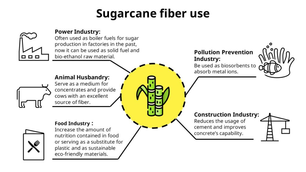 What is Sugarcane Fiber Used for? What are Sugarcane Fiber Products?