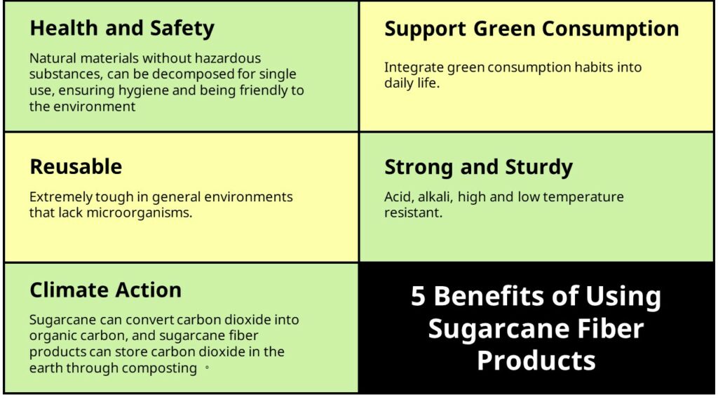 Why Sugarcane Fiber Products? 5 Benefits of Using Sugarcane Fiber Products