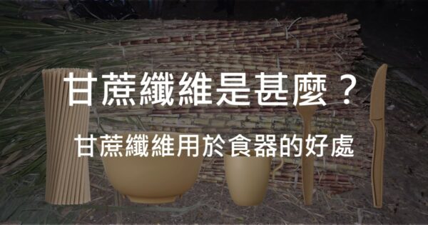 甘蔗纖維是什麼？甘蔗纖維用於食品包裝的好處