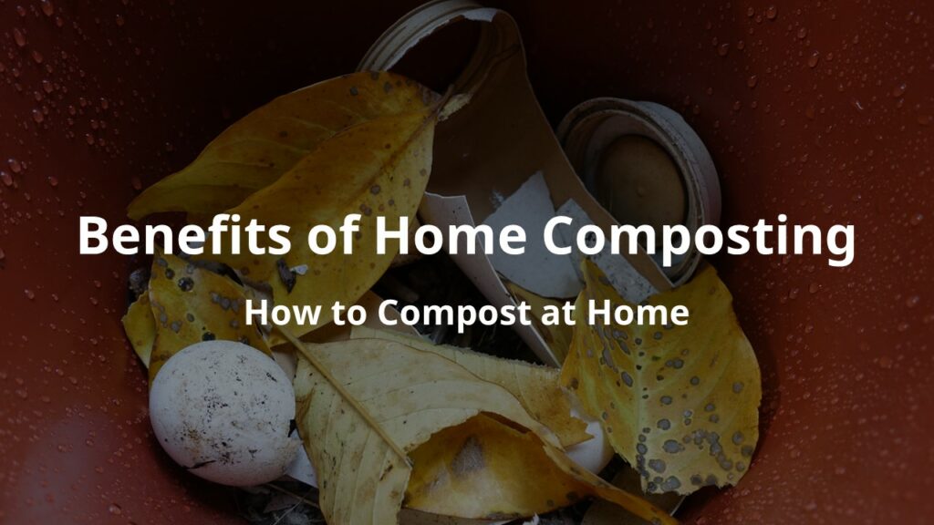 How to Compost at Home & Benefits of Home Composting