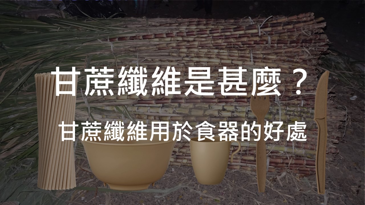 甘蔗纖維是什麼?甘蔗纖維用於食品包裝的好處