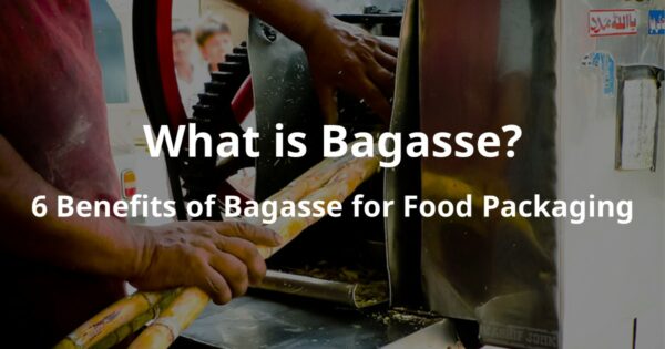 What is Bagasse? 6 Benefits of Bagasse for Food Packaging