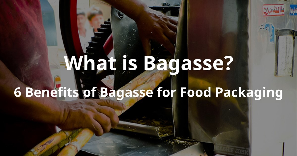 What is Bagasse? 6 Benefits of Bagasse for Food Packaging renouvo