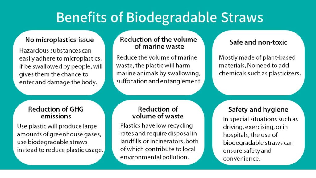 6 Benefits of Biodegradable Straws