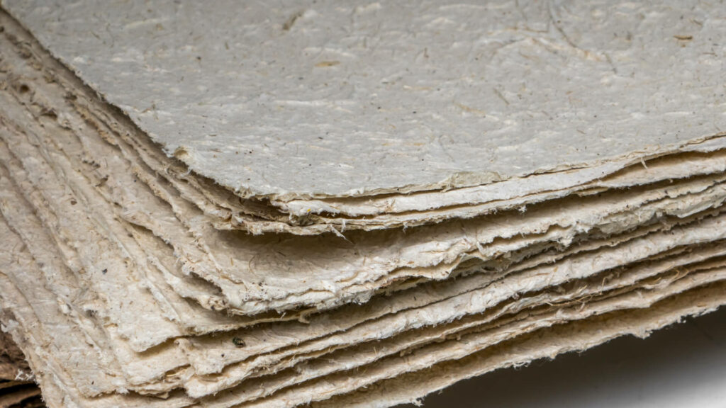 What is Bagasse Paper Benefits of Bagasse Paper Products