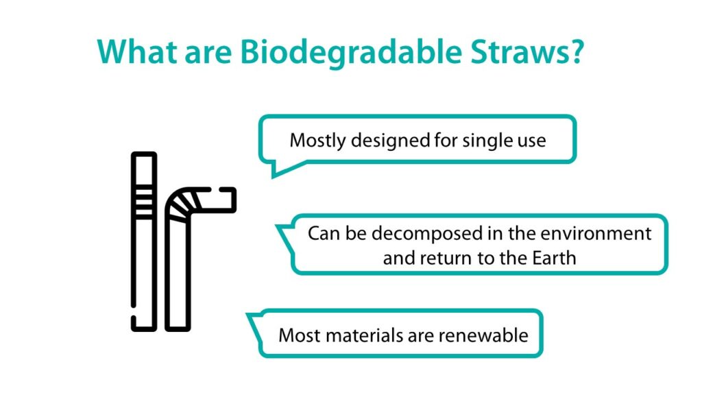 What are Biodegradable Straws?