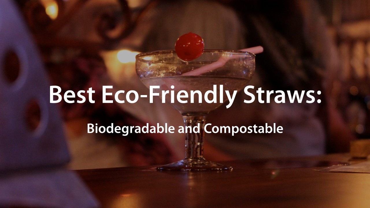 2023 Best Eco-Friendly Straws: Biodegradable and Compostable
