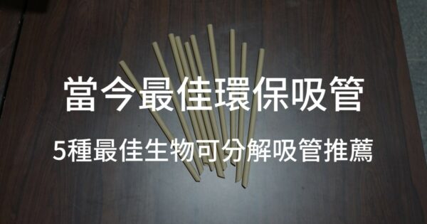 5種最佳生物可分解吸管推薦 當今最佳環保吸管
