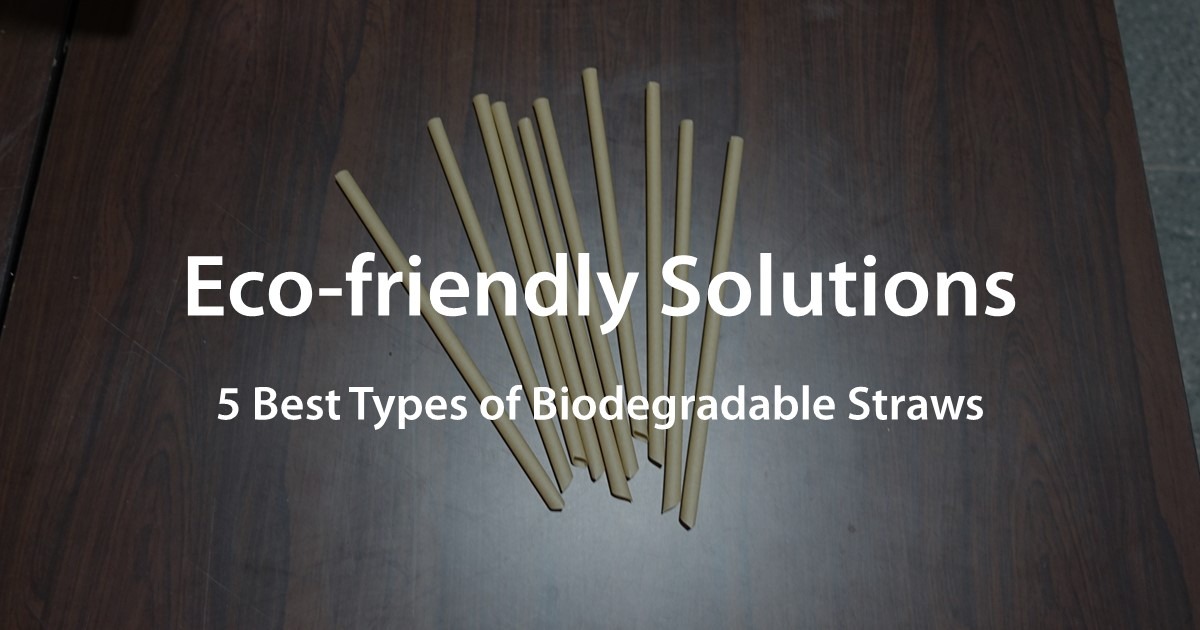 5 Best types of Biodegradable Straws are Ecofriendly Solutions renouvo
