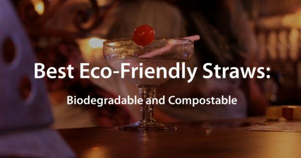 2023 Best Eco-Friendly Straws: Biodegradable and Compostable
