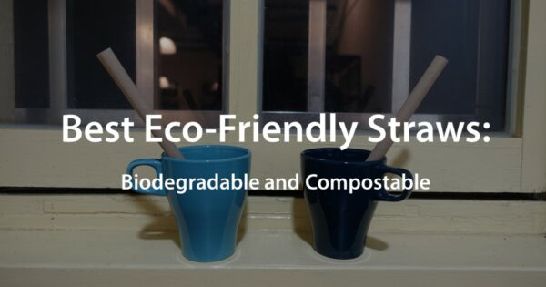 6 Benefits of Biodegradable Straws are Better for the Environment