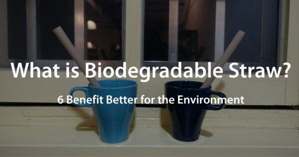 6 Benefits of Biodegradable Straws are Better for the Environment