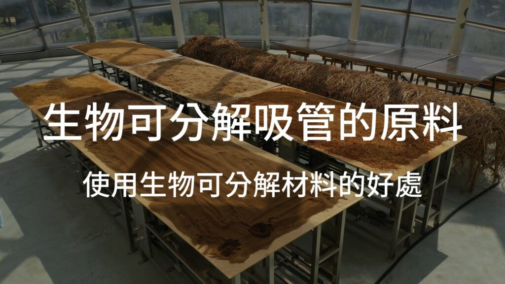 生物可分解吸管的原料製成是什麼? 使用生物可分解材料的好處
