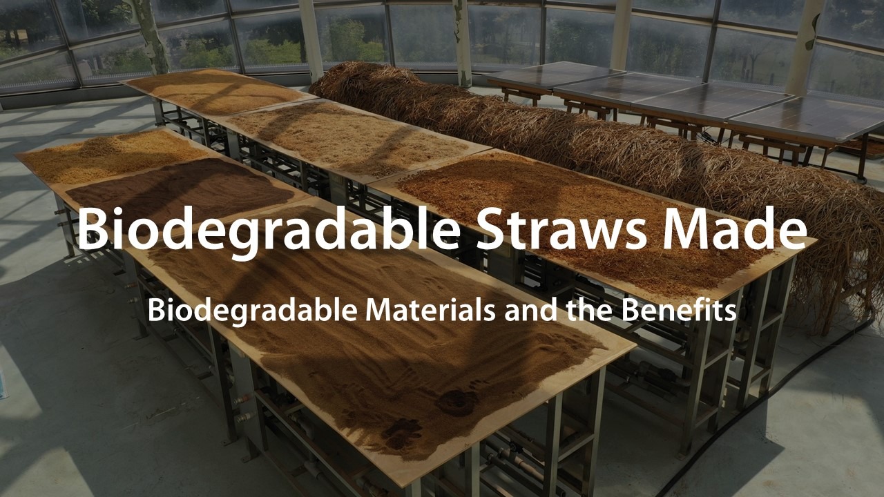 What are Biodegradable Straws Made of Biodegradable Materials and the