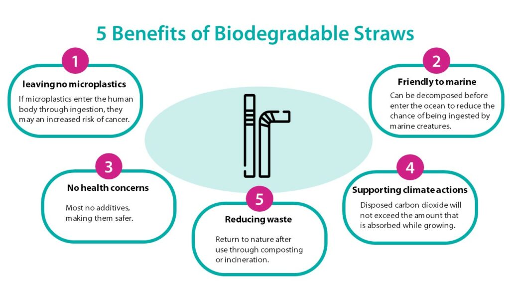 5 Benefits of Biodegradable Straws