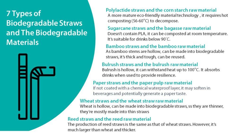 7 Types of Biodegradable Straws and The Biodegradable Materials