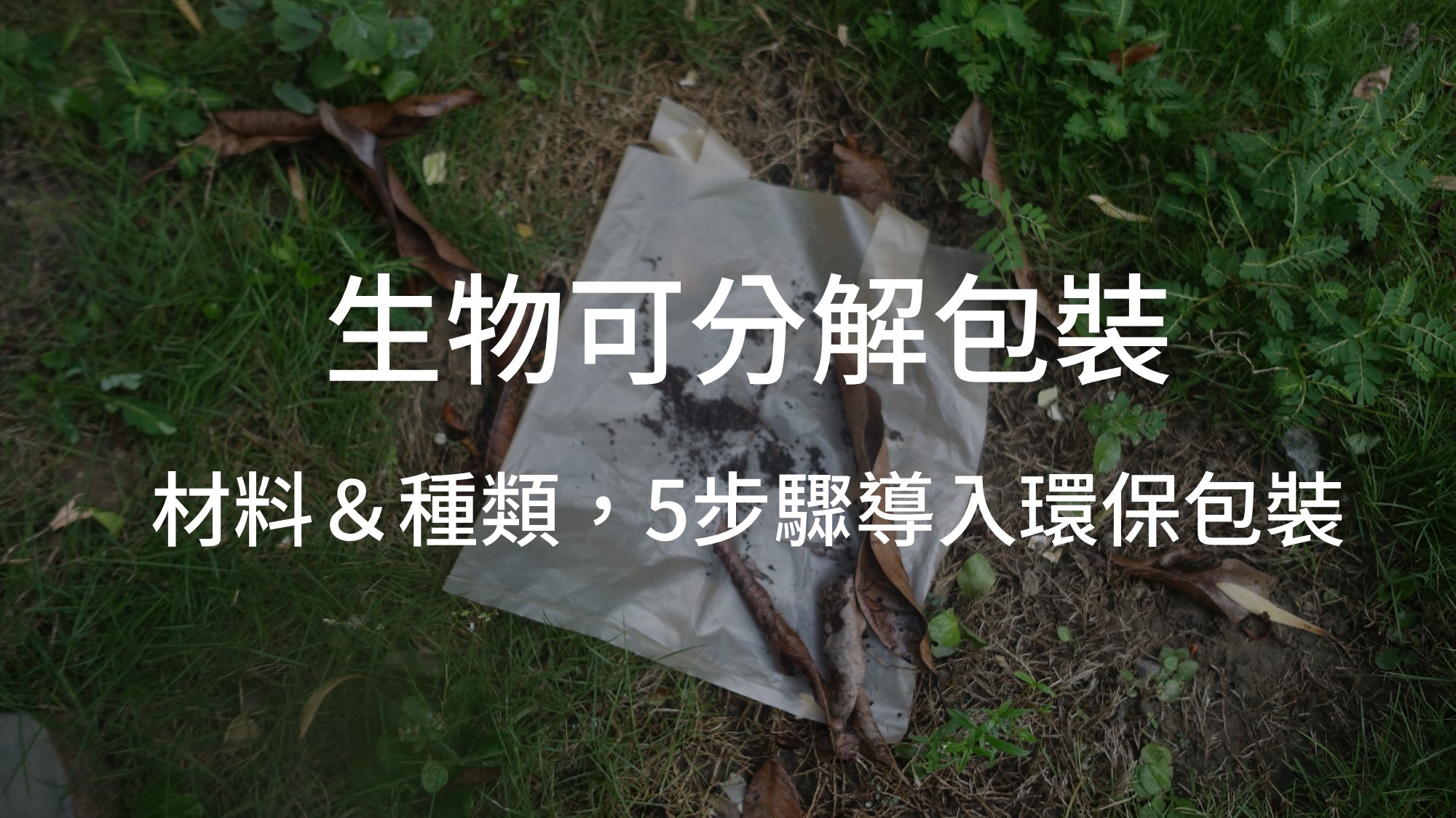 生物可分解包裝的材料&種類 企業5步驟導入環保包裝