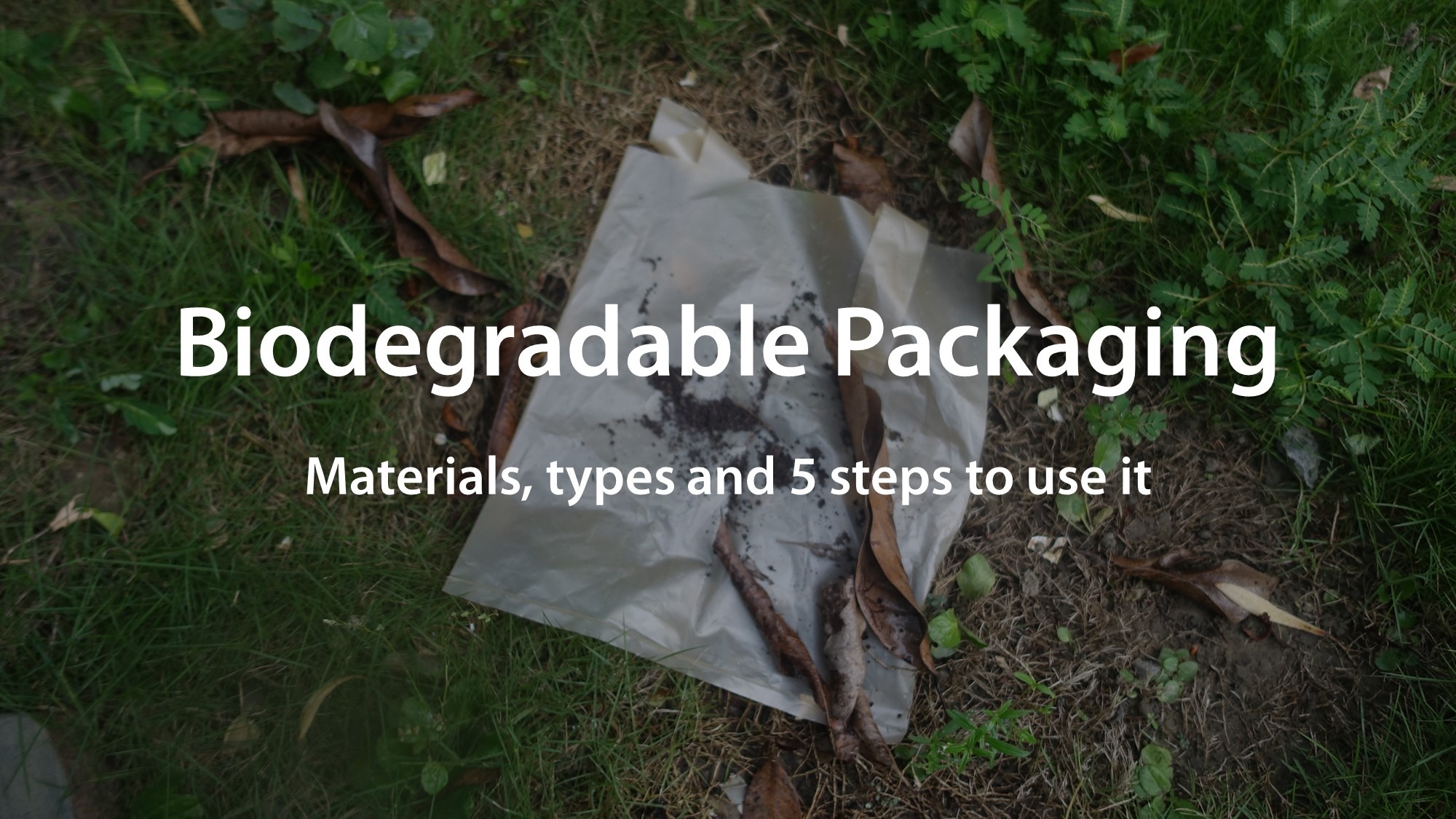 Biodegradable Packaging Materials Types and 5 Steps to Use it - renouvo