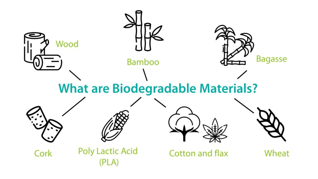 15 Biodegradable Products The Materials Make Eco-friendly - renouvo