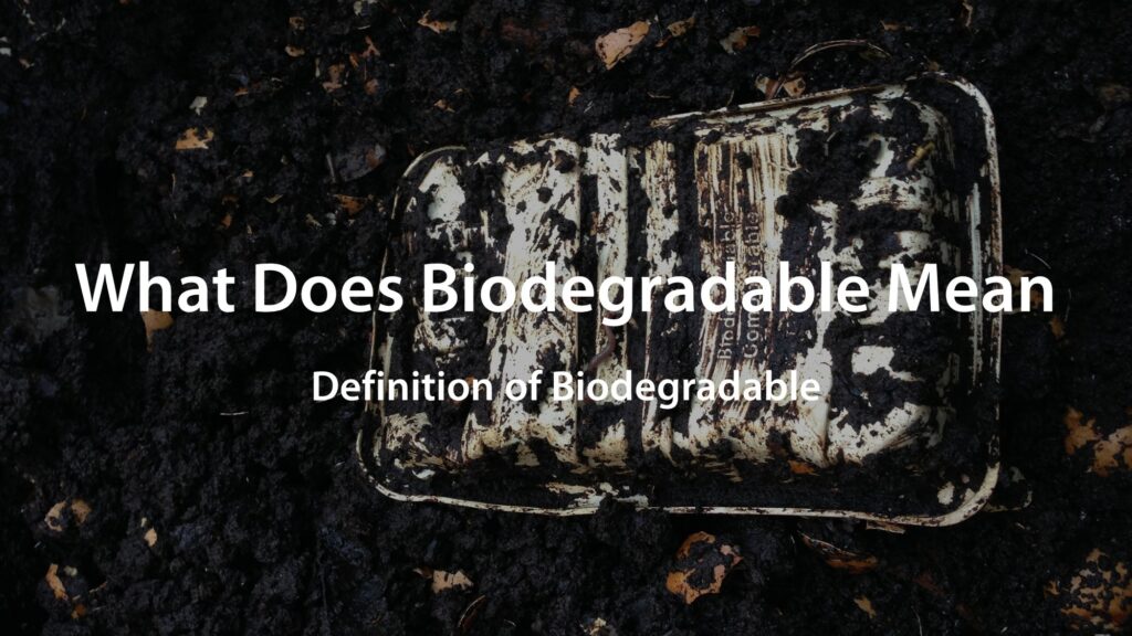 What Does Biodegradable Mean Definition of Biodegradable renouvo