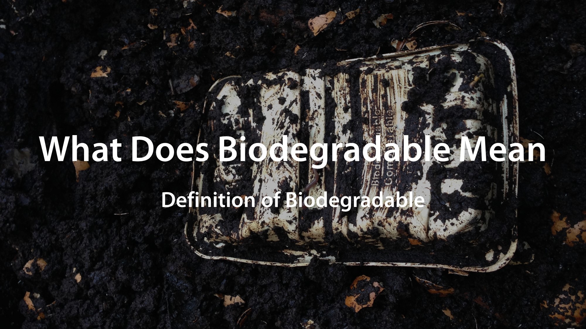 What Does Biodegradable Mean Definition of Biodegradable