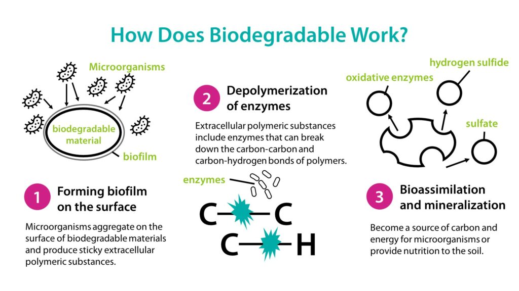 How Does Biodegradable Work?