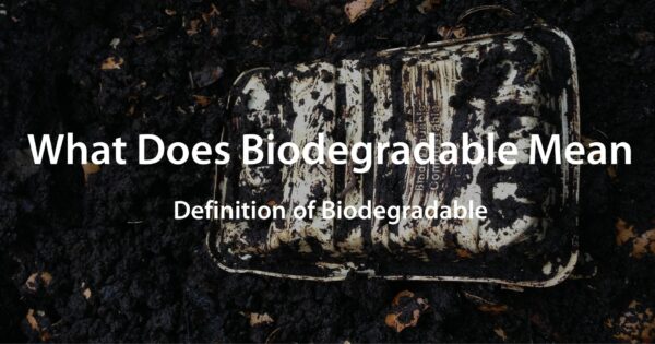What Does Biodegradable Mean Definition of Biodegradable
