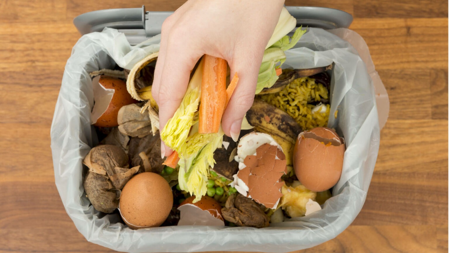 What is Compostable What to and Not to Compost - renouvo