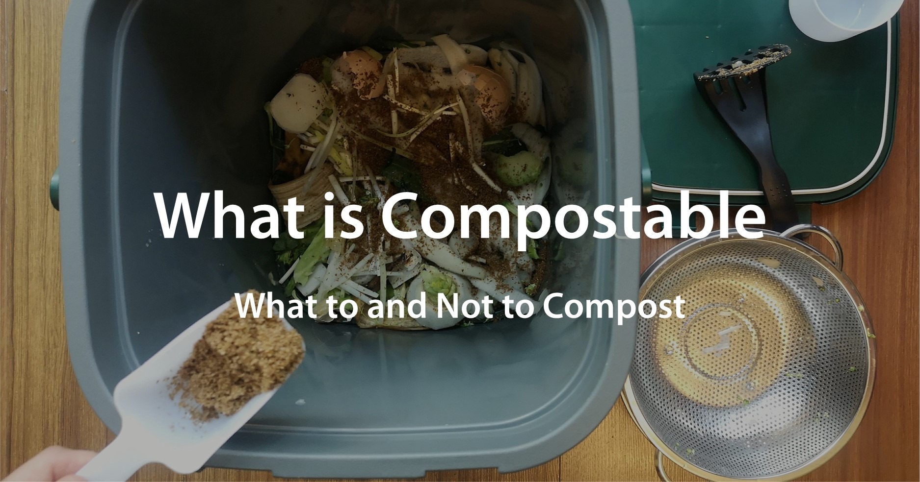 What is Compostable What to and Not to Compost