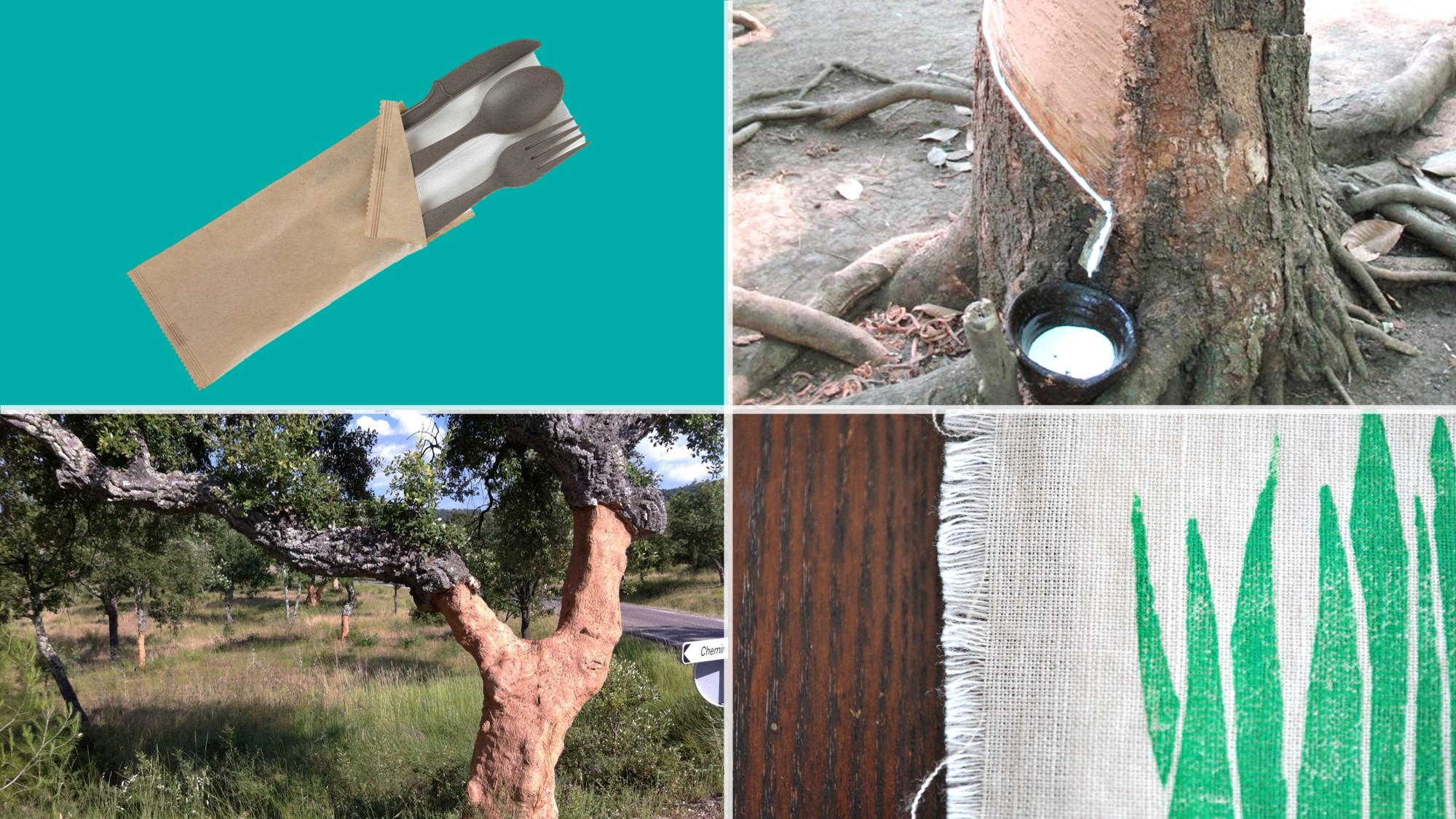 Picture on the upper left: renouvo coffee grounds cutlery/ Picture on the upper right: Collect rubber Picture on the lower left: Cork oak after collection, / Picture on the lower right: linen fabric