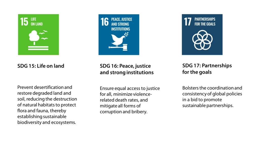 SDG 15: Life on land, SDG 16: Peace, justice and strong institutions, SDG 17: Partnerships for the goals