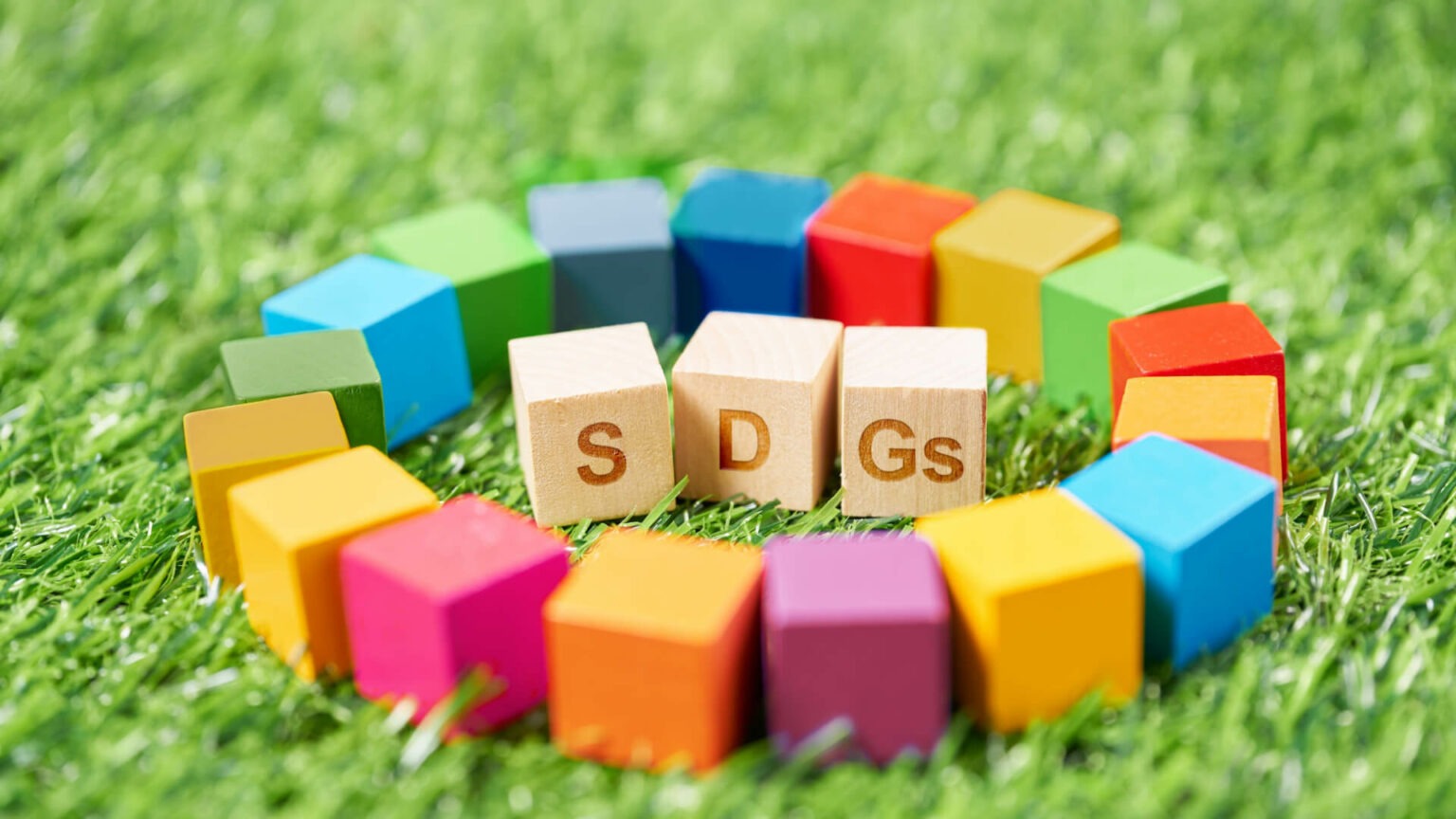 17項目標:SDGs 永續發展目標是什麼?為什麼重要? - renouvo