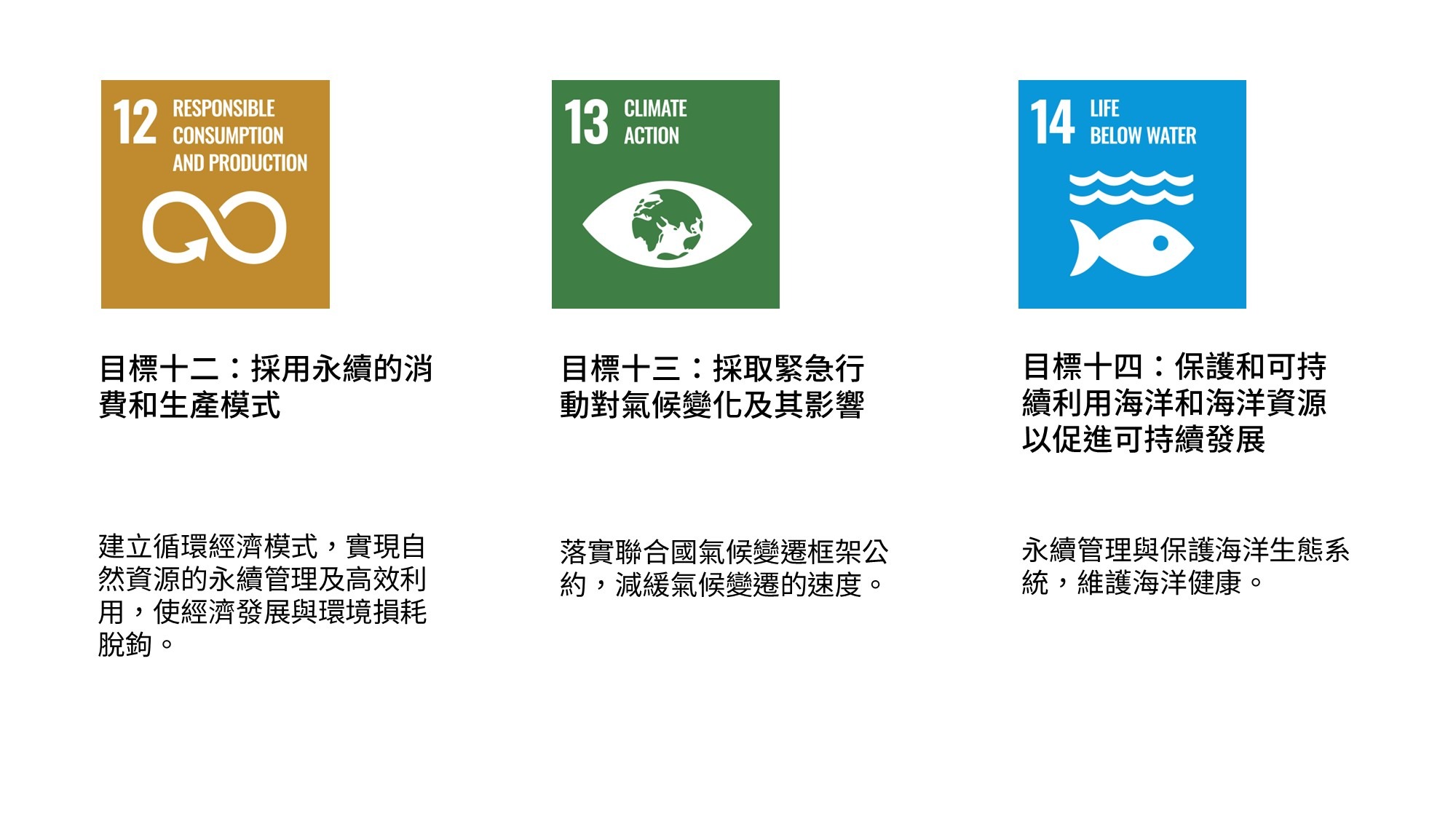 17項目標:SDGs 永續發展目標是什麼?為什麼重要? - renouvo