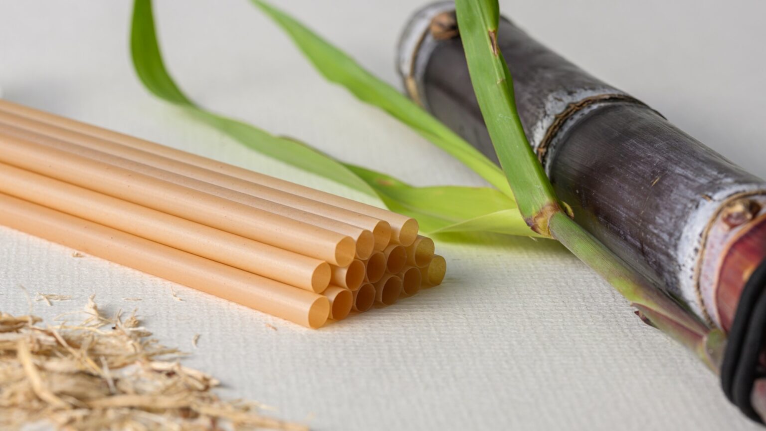 Which plants can be made into straws? Differences between seven types