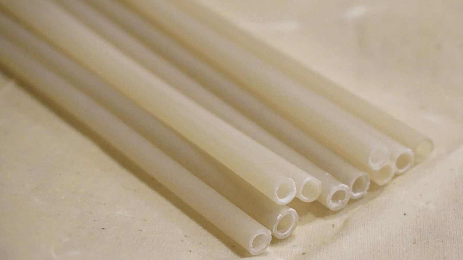 Which plants can be made into straws? Differences between seven types